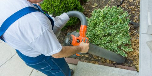 Leaf Removal, Leaf Removal service, Fall Clean Up, Spring Clean Up, Leaf Removal, Leaf Removal service, Fall Clean Up, Spring Clean Up,