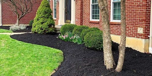Landscaping, Landscaping Company, Landscaping Contractor, Landscaping Company Landscaping, Landscaping Company, Landscaping Contractor, Landscaping Company