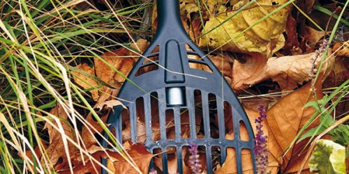 Leaf Removal, Leaf Removal service, Fall Clean Up, Spring Clean Up, Leaf Removal, Leaf Removal service, Fall Clean Up, Spring Clean Up,