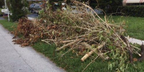 Leaf Removal, Leaf Removal service, Fall Clean Up, Spring Clean Up, Leaf Removal, Leaf Removal service, Fall Clean Up, Spring Clean Up,