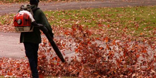 Leaf Removal, Leaf Removal service, Fall Clean Up, Spring Clean Up, Leaf Removal, Leaf Removal service, Fall Clean Up, Spring Clean Up,